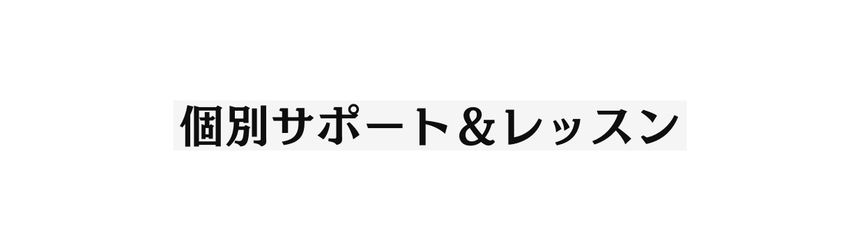 個別サポート レッスン