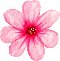 Watercolor pink flower