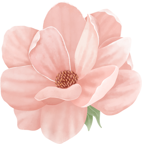 Mangolia Flower